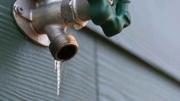 Best Shower Repair Services  in Columbia, MS